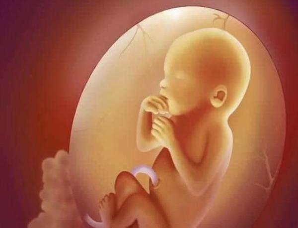 怀孕多久容易发生胎儿畸形?过了这个高发期,孕
