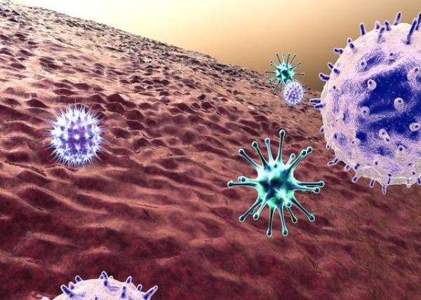 怎么去区分流感和感冒病毒呢?