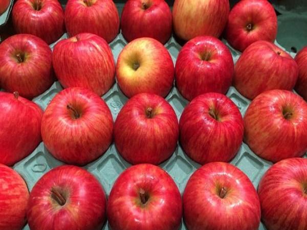 每天吃一个苹果真的对身体好吗?这些是你必须