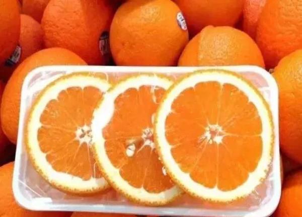 2019橙子有哪些好品种?如何种植可高产?